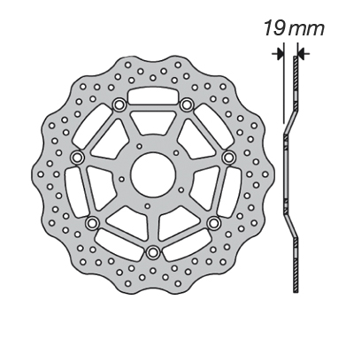 Disco freno FE.FL70507V