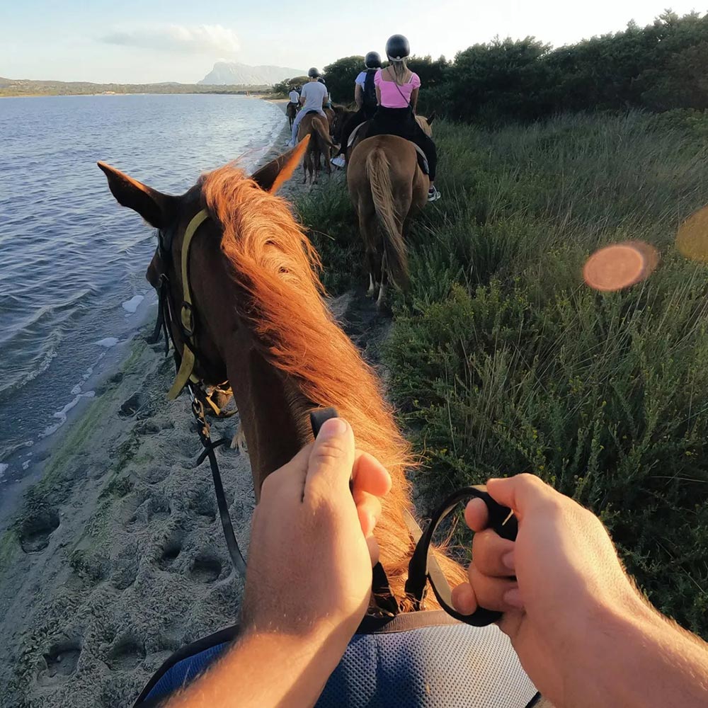 Fascia di chiusura anteriore 2.0