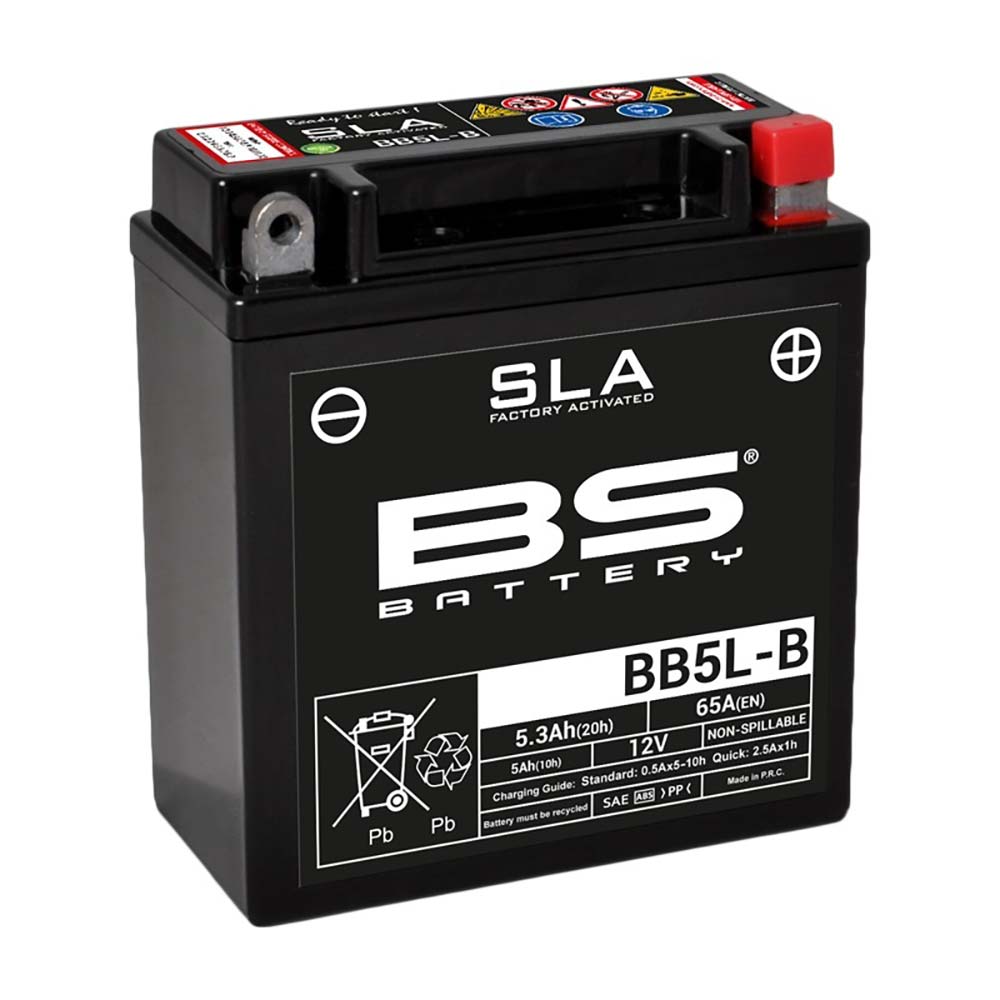 Batteria BS SLA