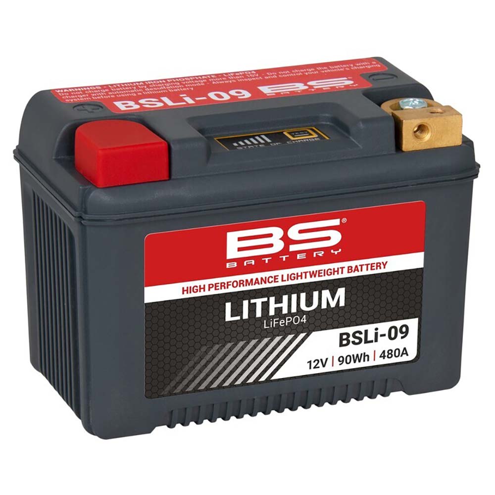 Batteria agli ioni di litio BSLi-09