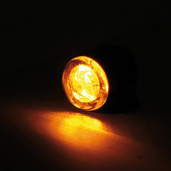 Serie Proton Due luci posteriori + indicatore di direzione integrato