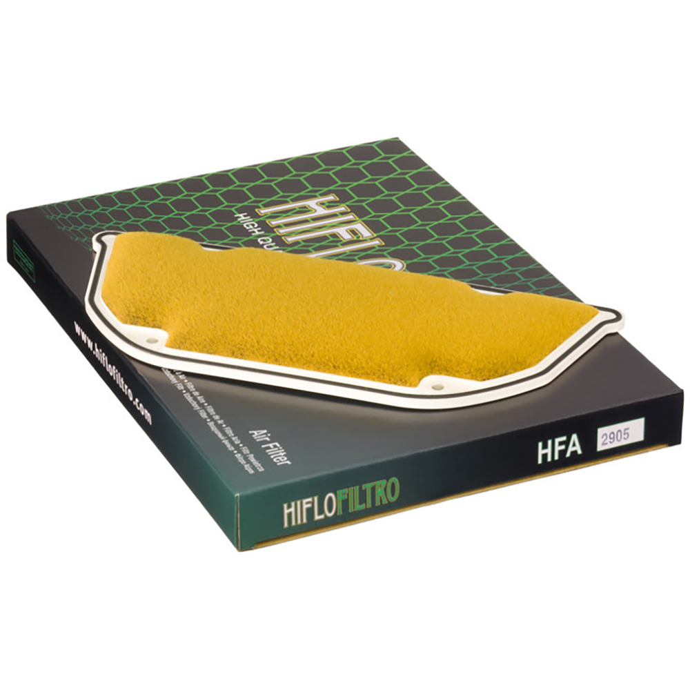 Filtro aria HFA2905