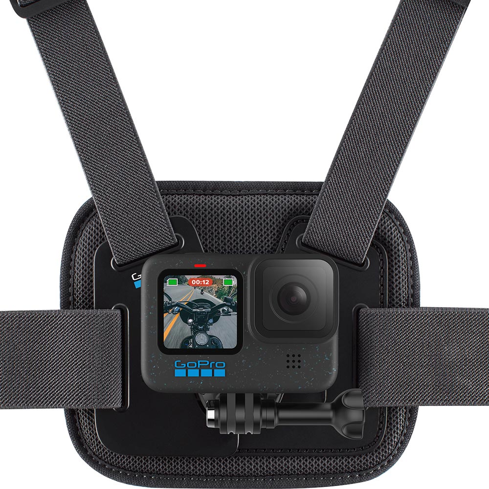 Fascia toracica Chesty