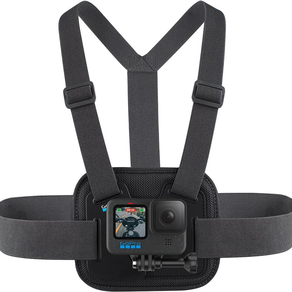 Fascia toracica Chesty