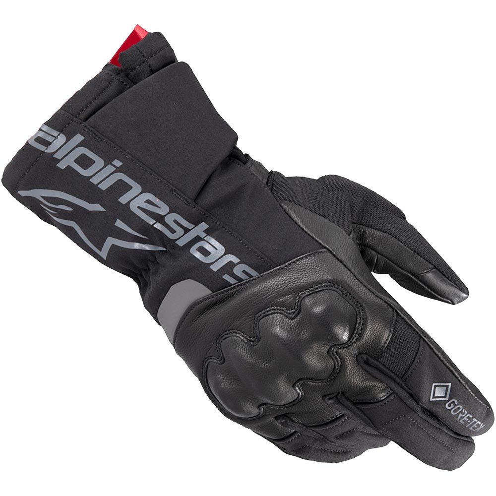 Guanti WT-4 Gore-Tex