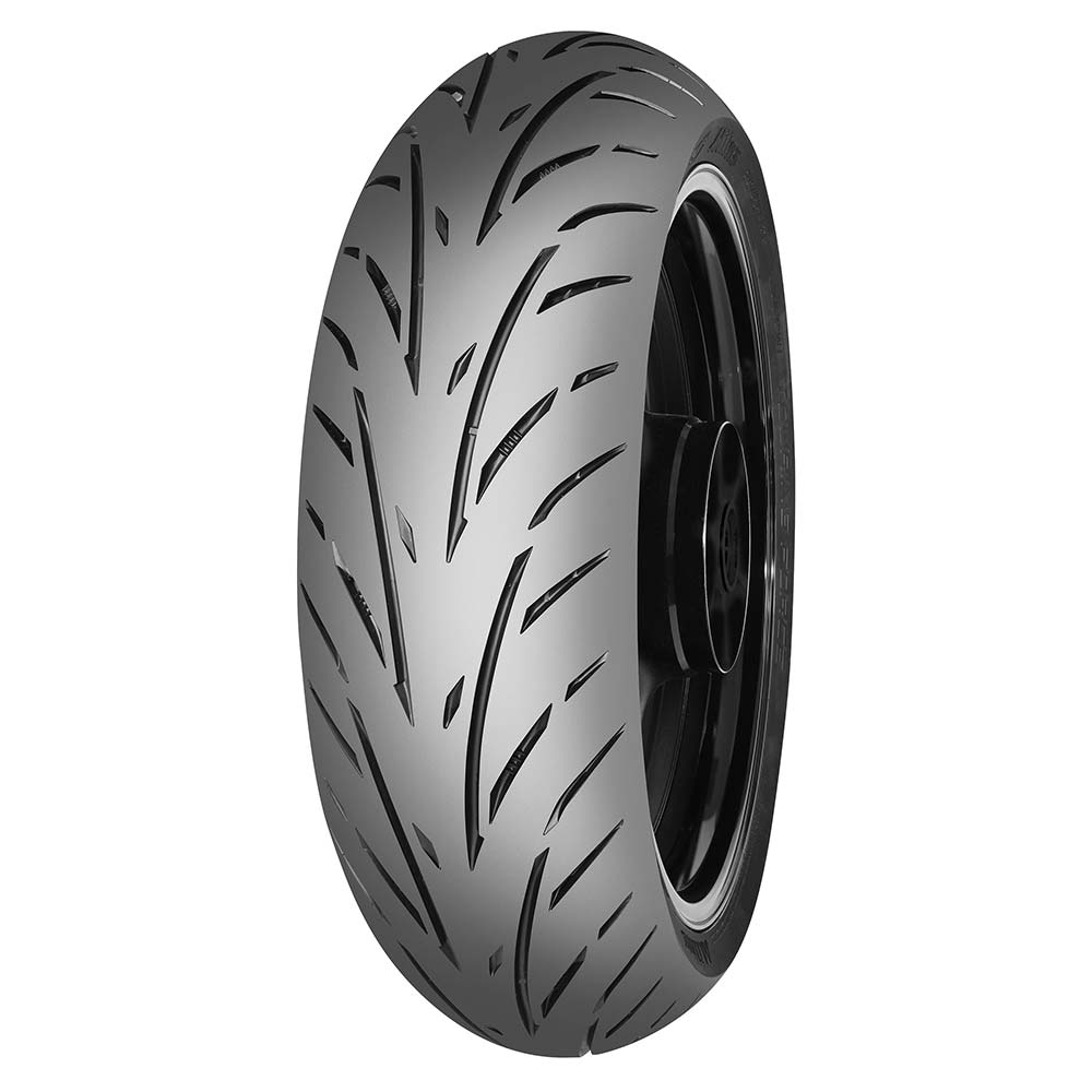 Pneumatico Touring Force