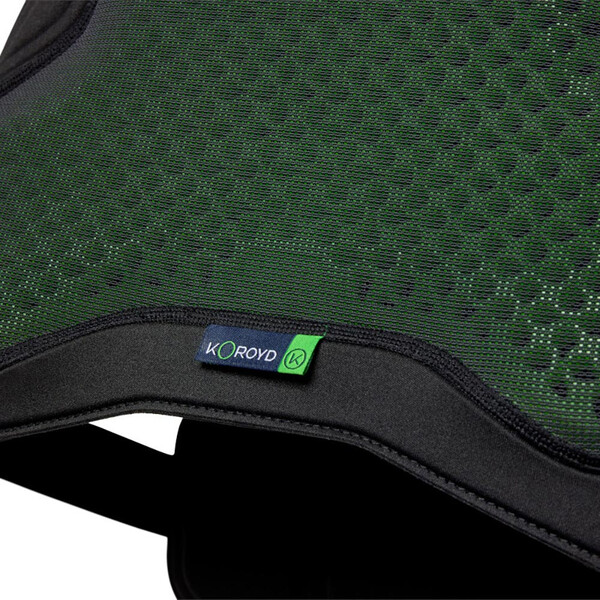 Protezioni in pietra della cellula