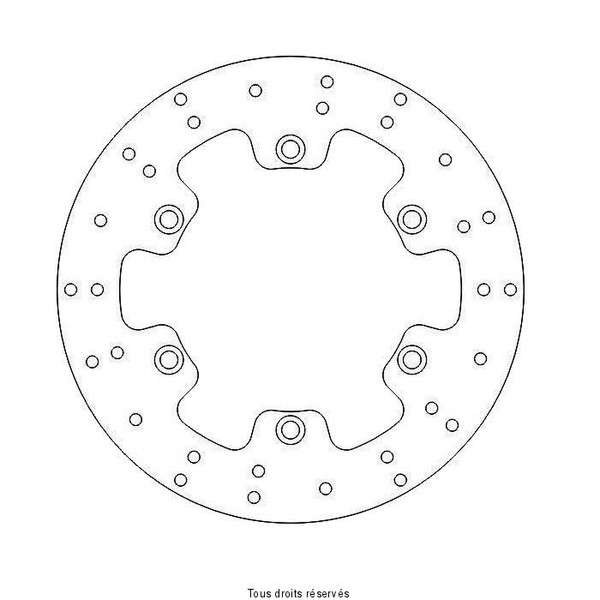 Disco freno Kawasaki DIS1094