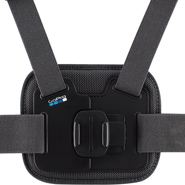 Fascia toracica Chesty