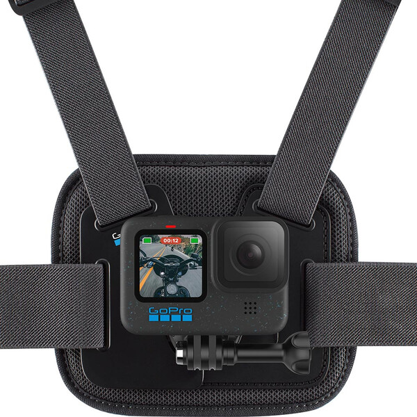 Fascia toracica Chesty