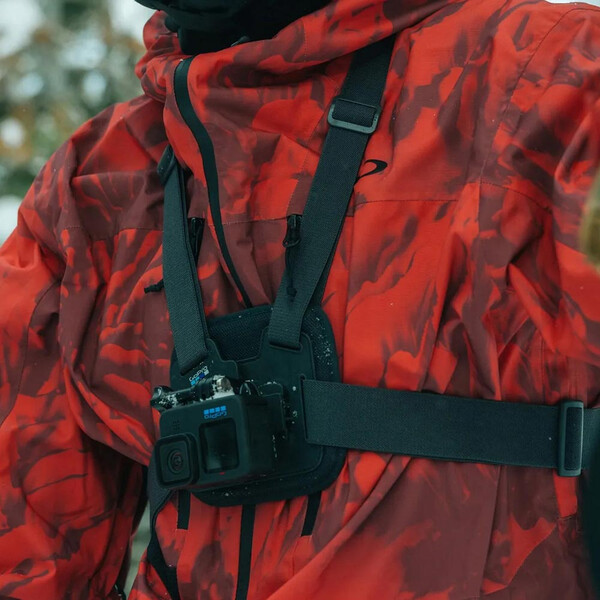 Fascia toracica Chesty