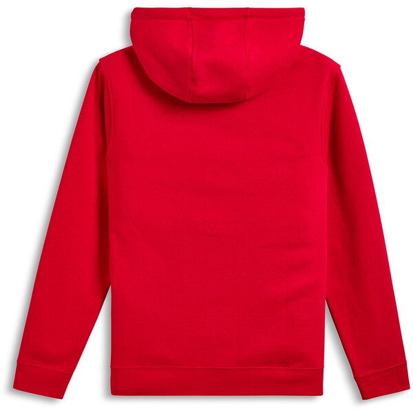 Felpa con cappuccio Ageless V3