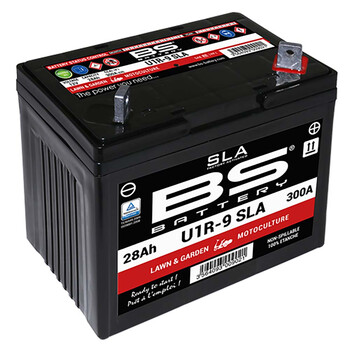 Batteria SLA U1R-9 BS Battery