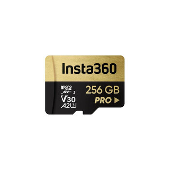 Scheda microSD da 256 GOES insta360