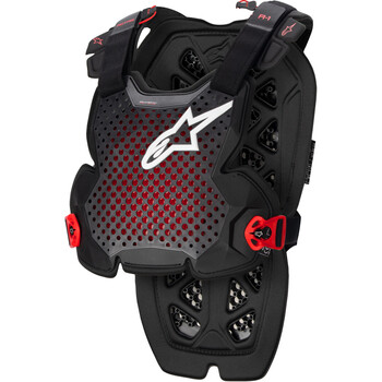 Scudo in pietra A-1 Pro Alpinestars