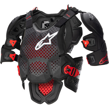 Parasassi A-10 v2 Alpinestars