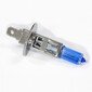 Lampadina H1 blu freddo