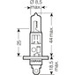 Lampadina H1 blu freddo intenso