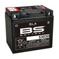 53030 Batteria SLA