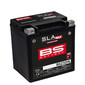 BGZ32HL Batteria SLA Max