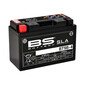 BT9B-4 Batteria SLA