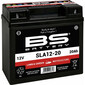 Batteria SLA12-20 SLA