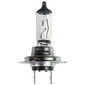 Lampadina per fari alogeni H7 - LA48