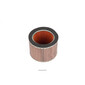 Filtro aria 98P309