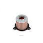 Filtro aria 98P310