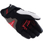 Guanti SP-R Pro