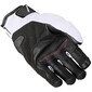 Guanti RS2 Evo2