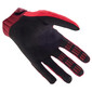 Guanti a 360°