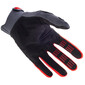 Guanti Dirtpaw CE