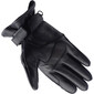 Guanti Condor Evo