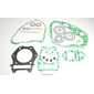 Guarnizione motore VG3030