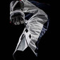 Pantaloni Killington Lady