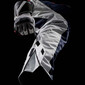 Pantaloni Killington