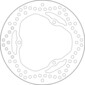 Disco freno 5240