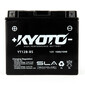 Batteria SLA AGM YT12B-BS