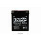 Batteria BS Ingresso Acido